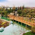 Японский сад санатория «MRIYA RESORT & SPA»