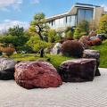 Японский сад санатория «MRIYA RESORT & SPA»