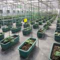 Green Tech Show компании Transfar Group