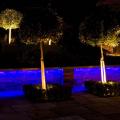 Coldharbour Garden. "Сад на террасе становится ещё более интересным, когда вы делите пространство на более камерные зоны"