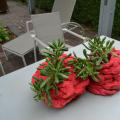 Поездка в Германию в 2015 году