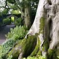 Altamont Garden
