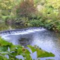 Mount Usher Gardens