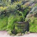 Powerscourt Gardens