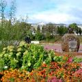 Витебск-Усадьба Ореховно-Вилла-Планта