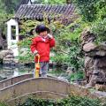 Сад Мастера Сетей (Wangshi Yuan)